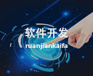 软件开发